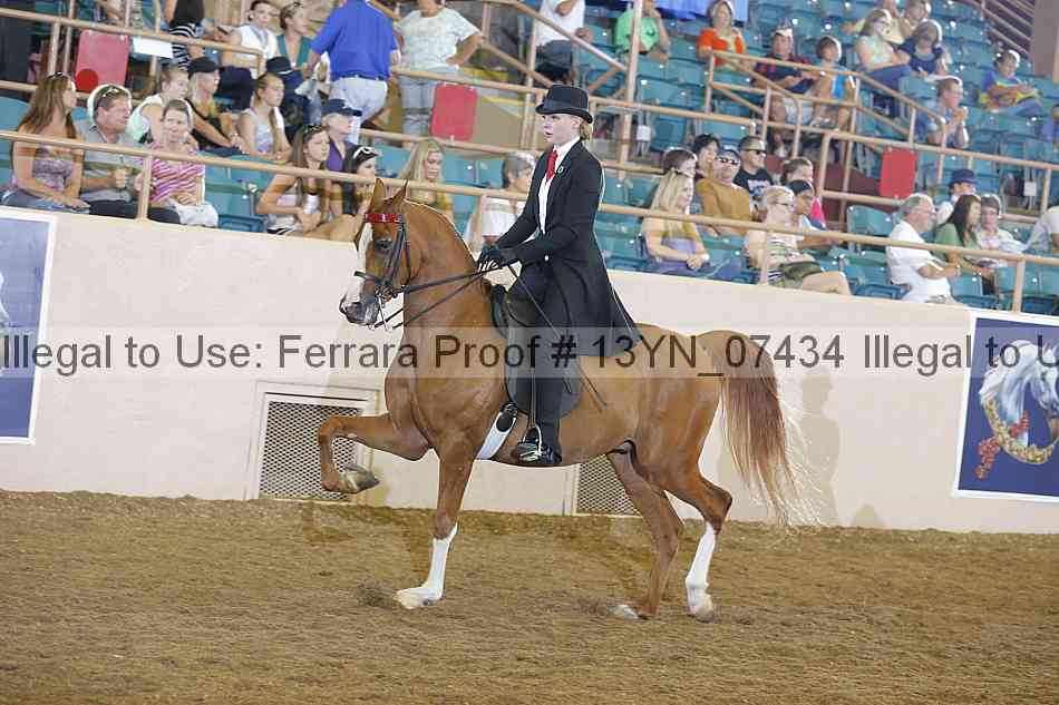 Proof 13yn_07434