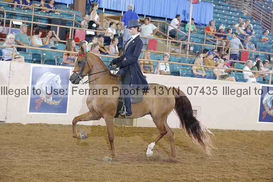 Proof 13yn_07435