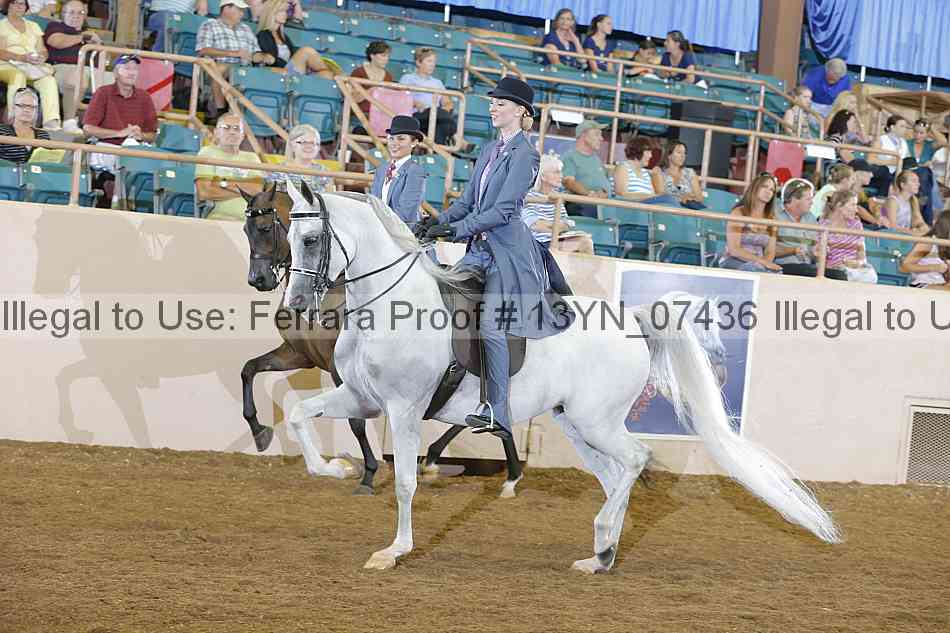 Proof 13yn_07436