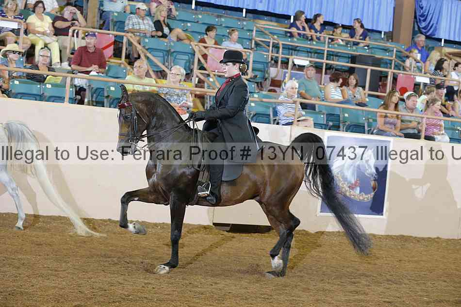 Proof 13yn_07437