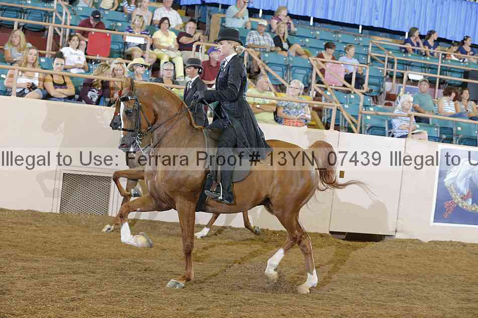 Proof 13yn_07439