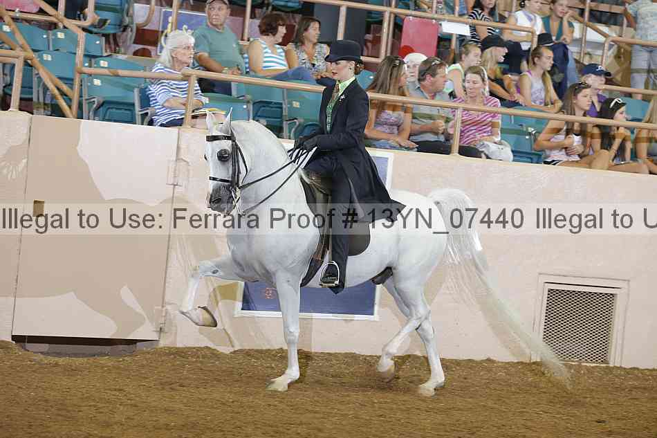 Proof 13yn_07440