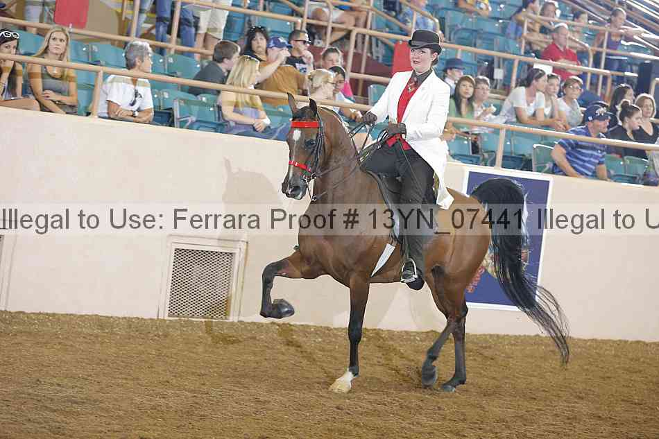 Proof 13yn_07441