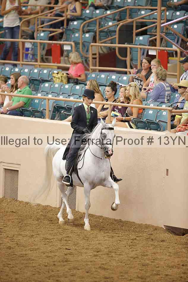 Proof 13yn_07449