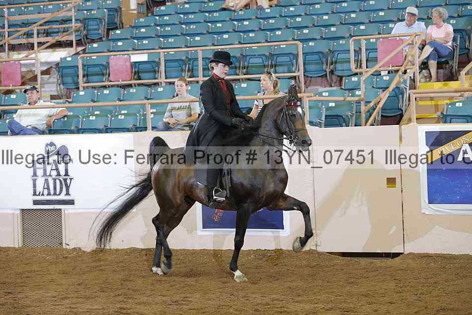 Proof 13yn_07451