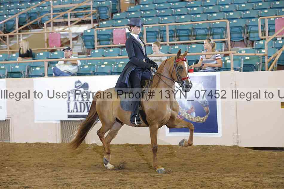 Proof 13yn_07452