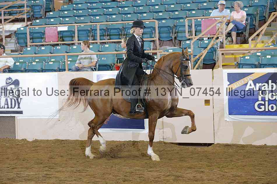 Proof 13yn_07454