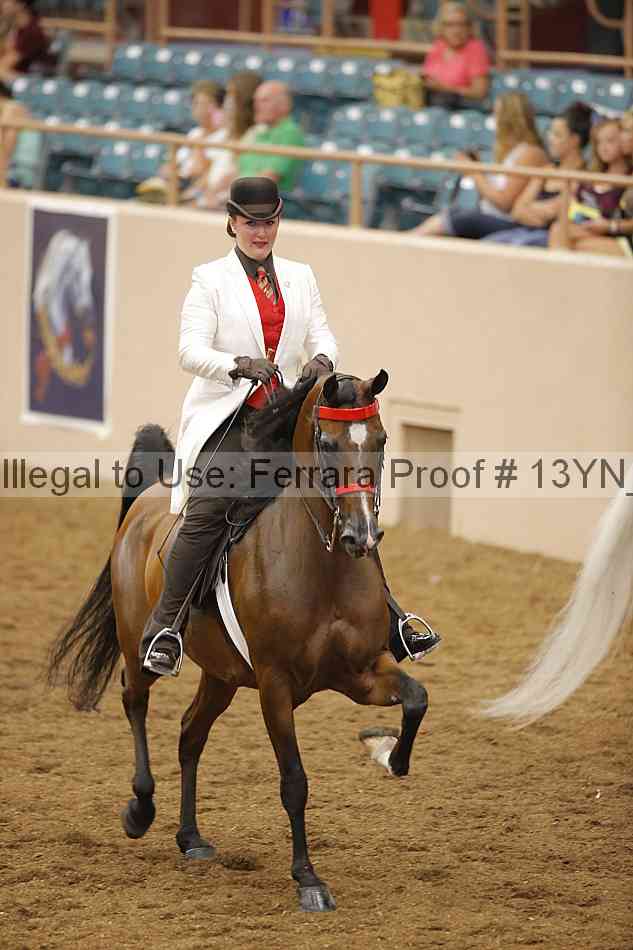 Proof 13yn_07458