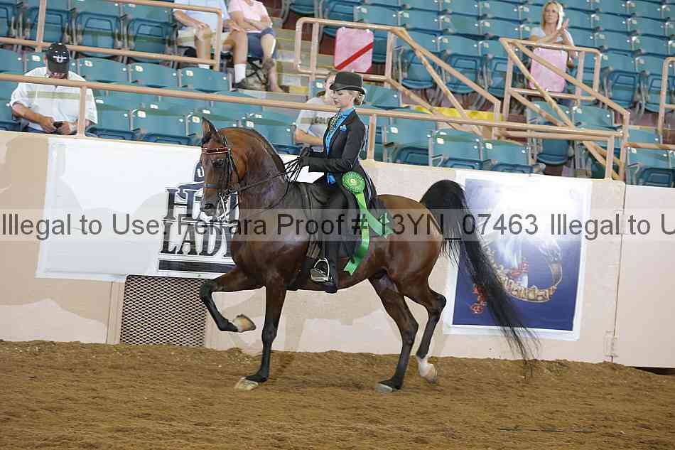Proof 13yn_07463
