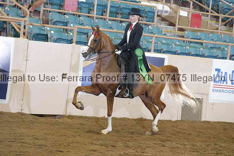 Proof 13yn_07475