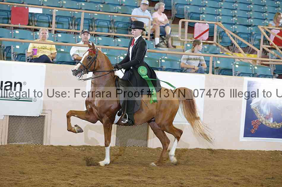 Proof 13yn_07476