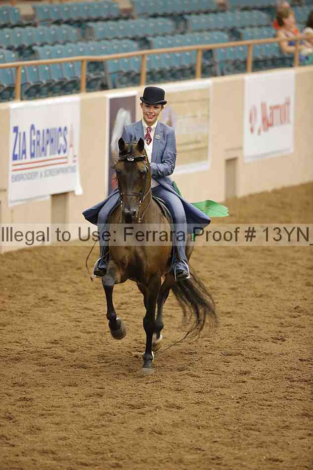 Proof 13yn_07483