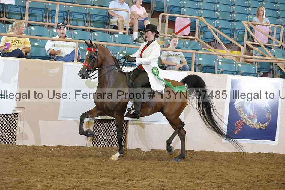 Proof 13yn_07485