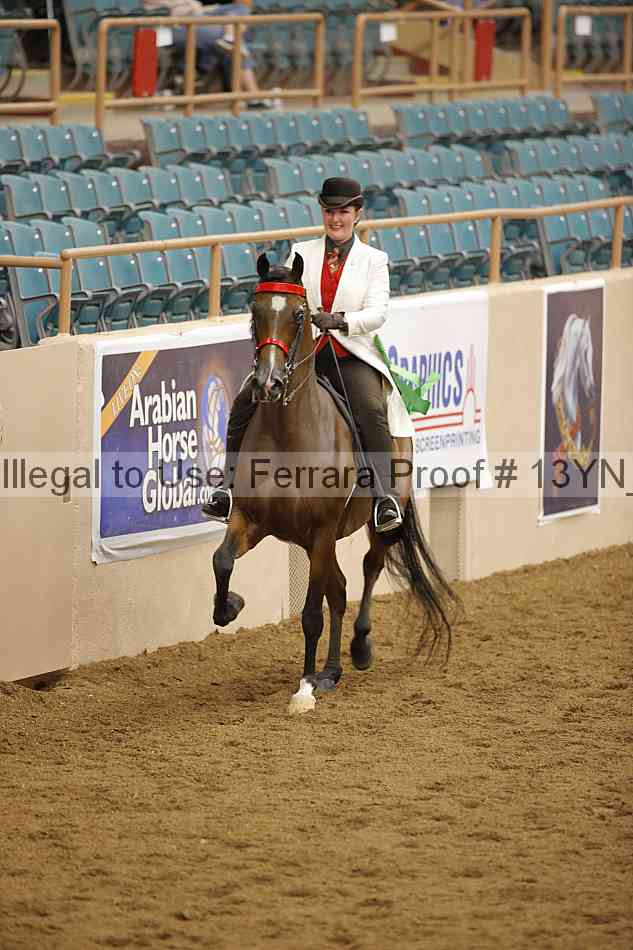 Proof 13yn_07486