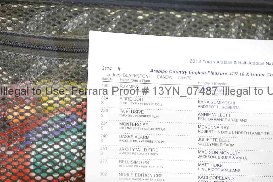 Proof 13yn_07487
