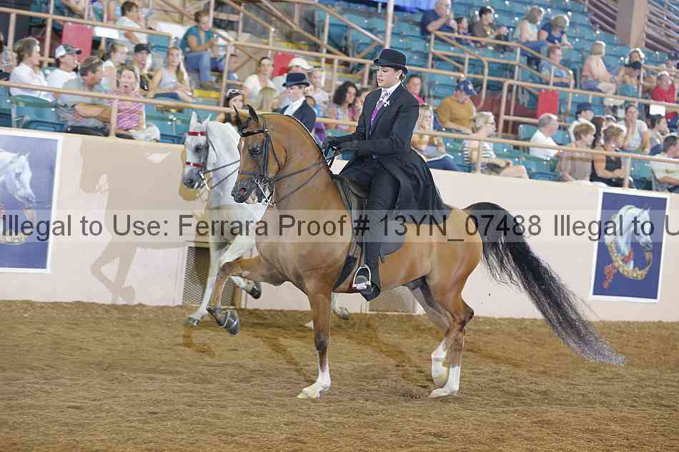 Proof 13yn_07488
