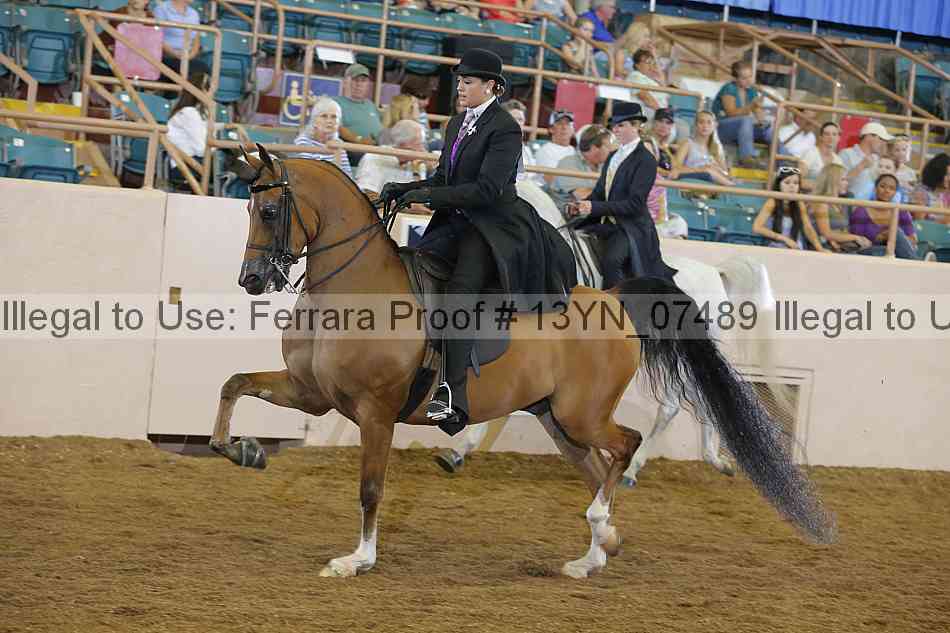 Proof 13yn_07489