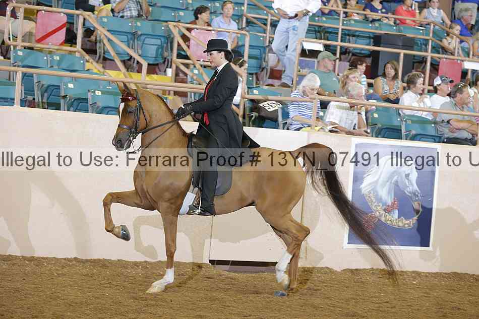 Proof 13yn_07491