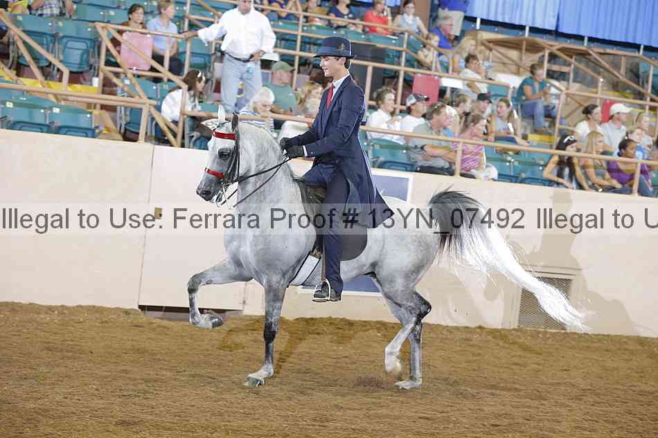 Proof 13yn_07492