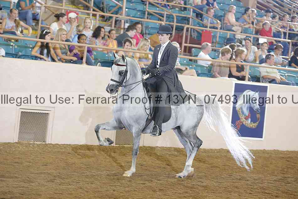 Proof 13yn_07493
