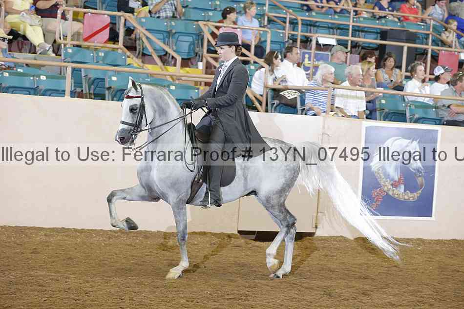 Proof 13yn_07495