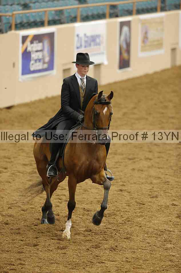 Proof 13yn_07497