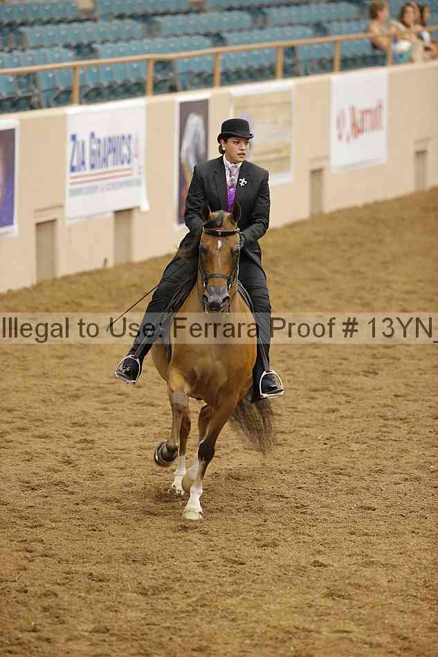 Proof 13yn_07499