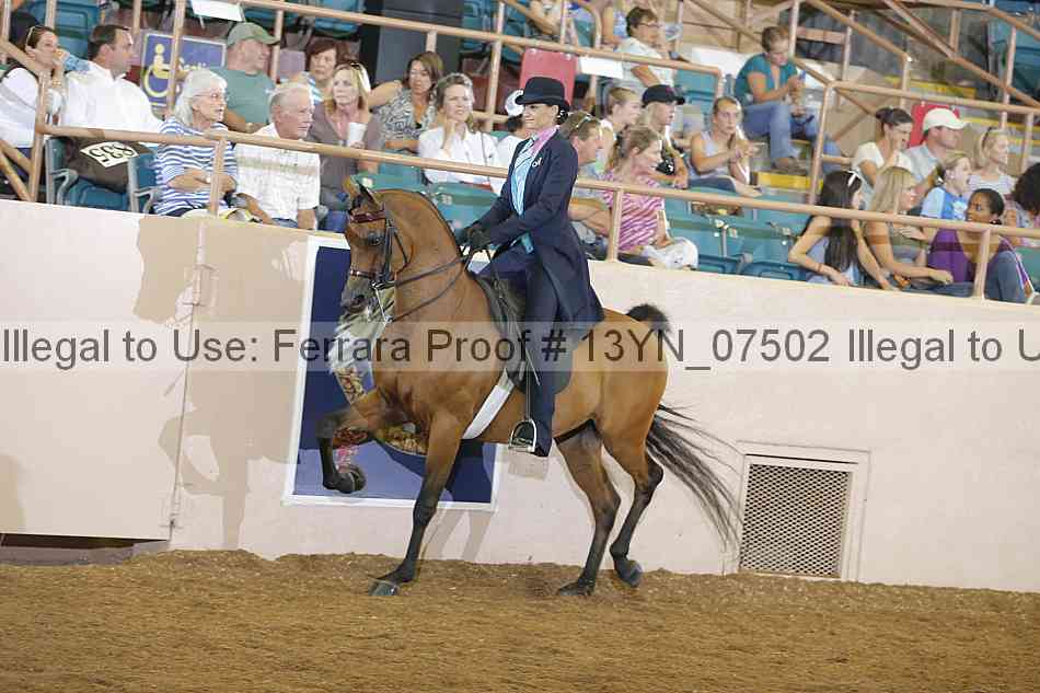 Proof 13yn_07502