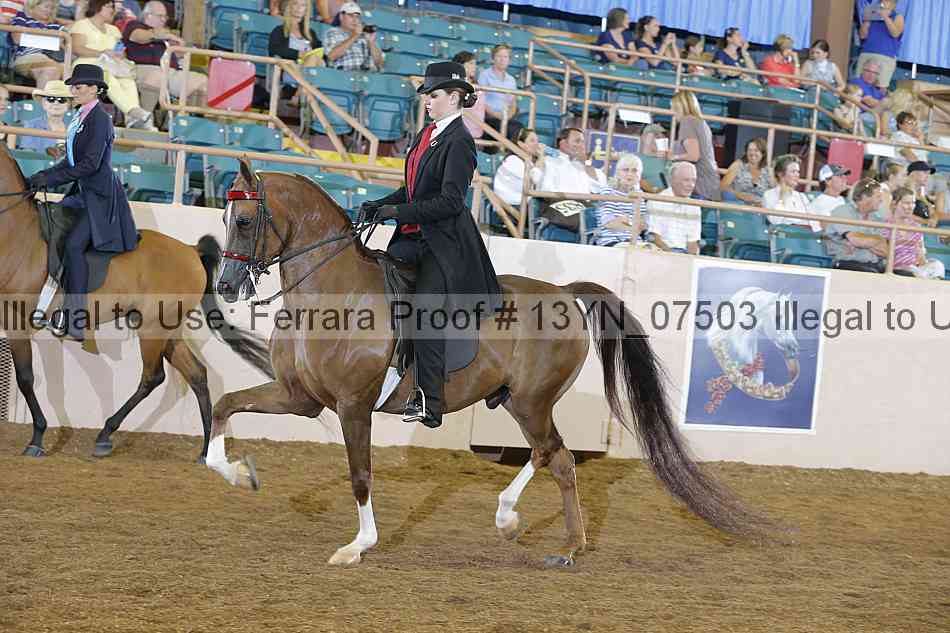 Proof 13yn_07503