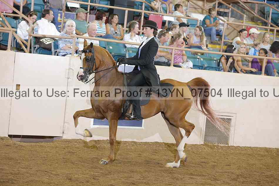 Proof 13yn_07504