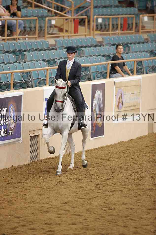 Proof 13yn_07505