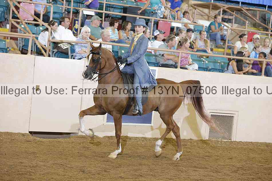 Proof 13yn_07506