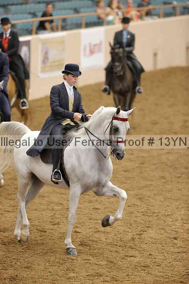 Proof 13yn_07507