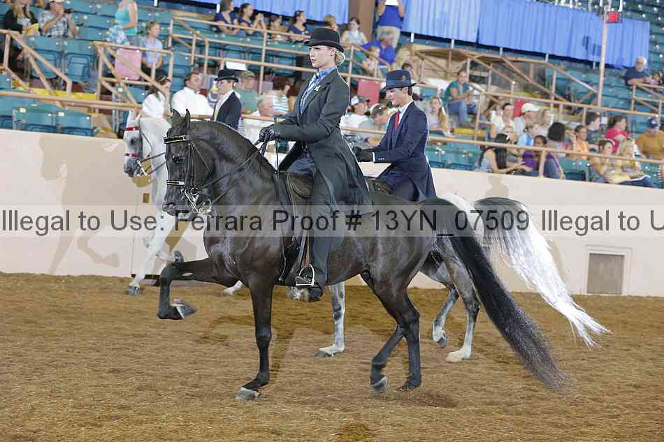 Proof 13yn_07509