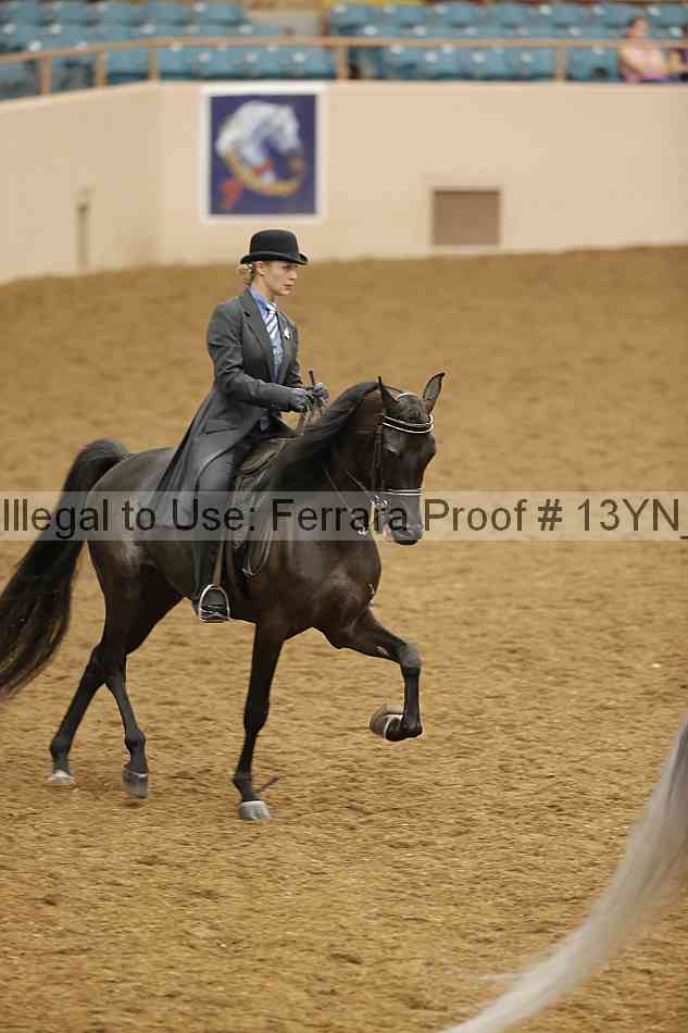 Proof 13yn_07510
