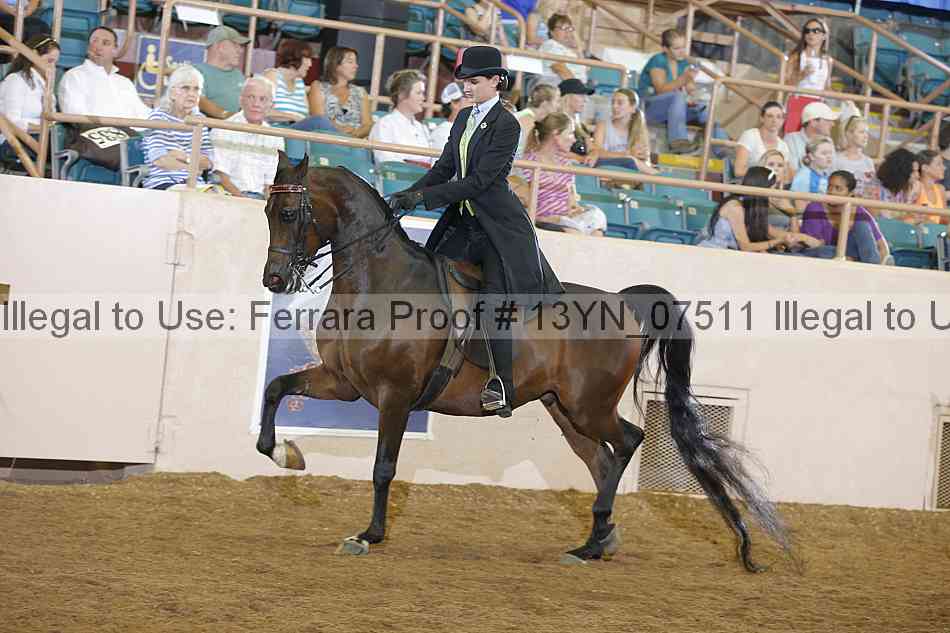 Proof 13yn_07511