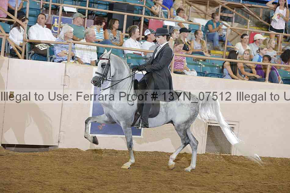 Proof 13yn_07512