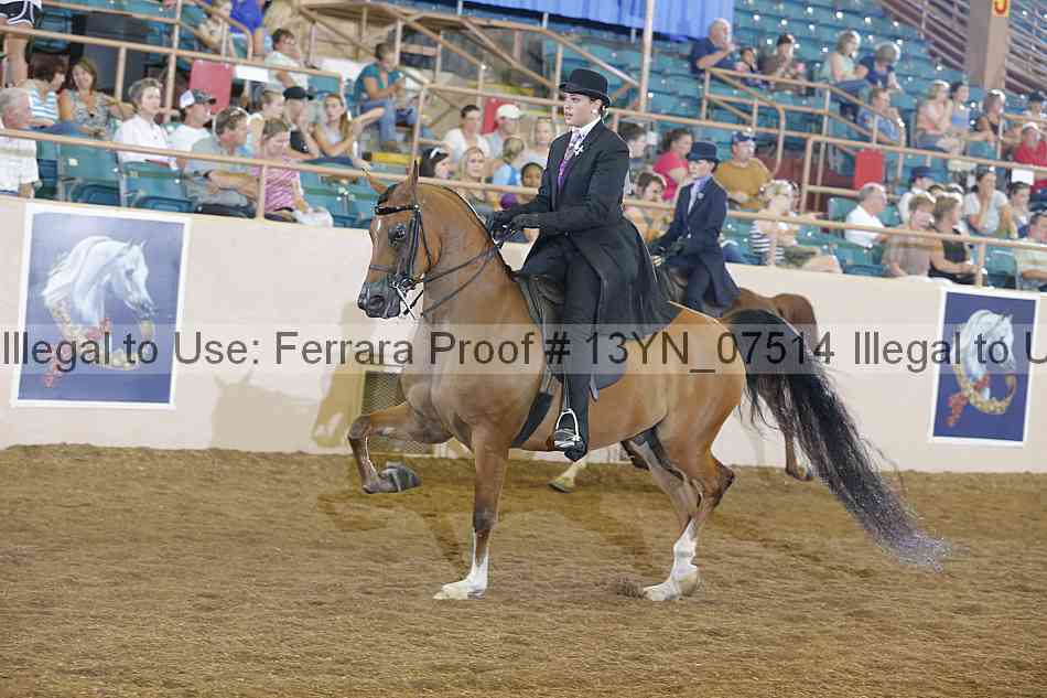 Proof 13yn_07514