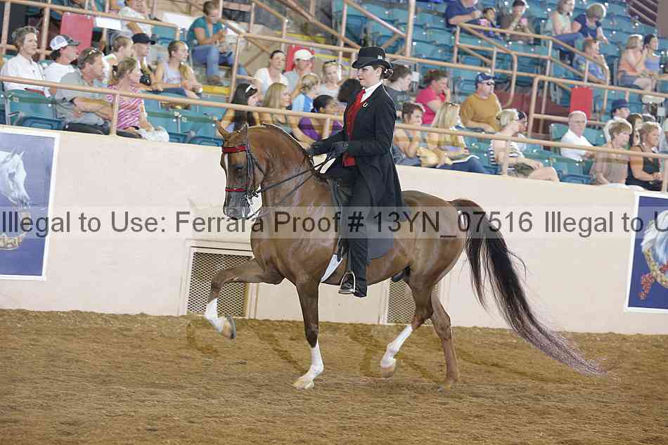 Proof 13yn_07516