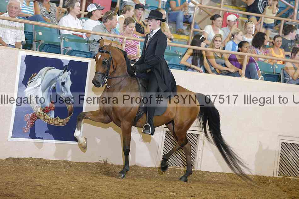 Proof 13yn_07517