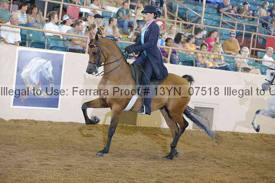 Proof 13yn_07518