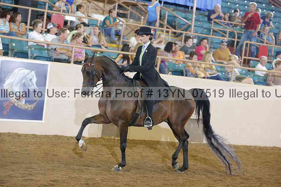 Proof 13yn_07519
