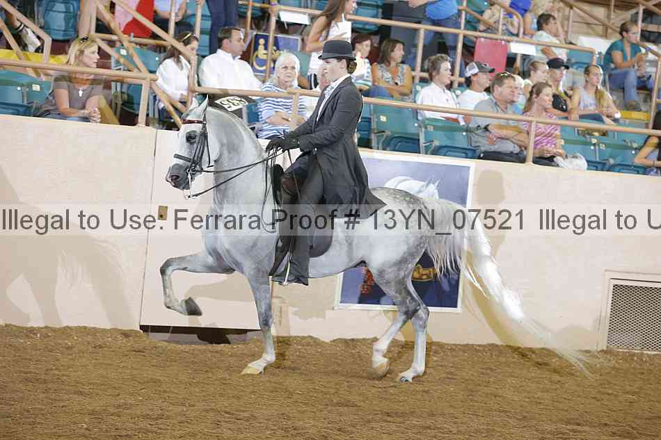 Proof 13yn_07521