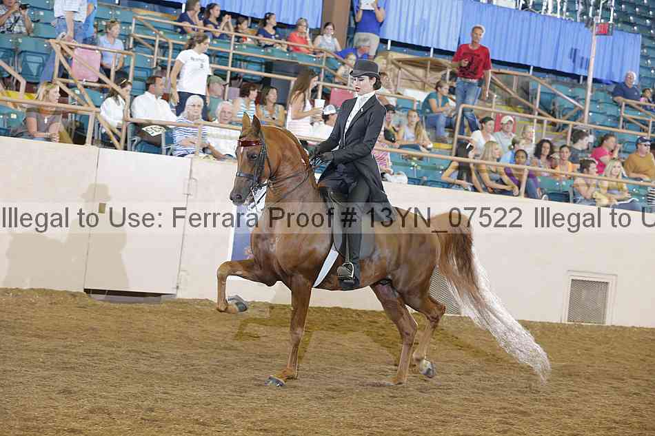 Proof 13yn_07522