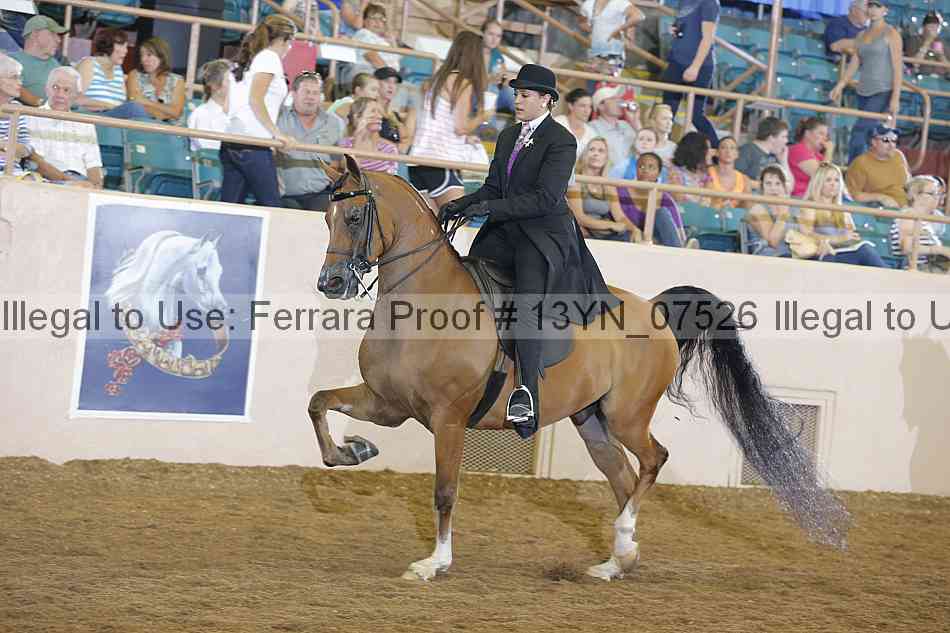 Proof 13yn_07526