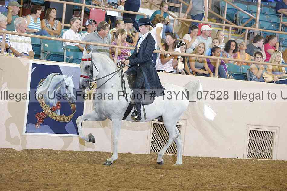 Proof 13yn_07528
