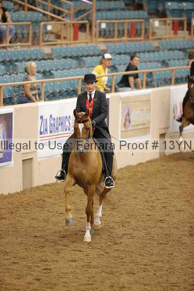 Proof 13yn_07531