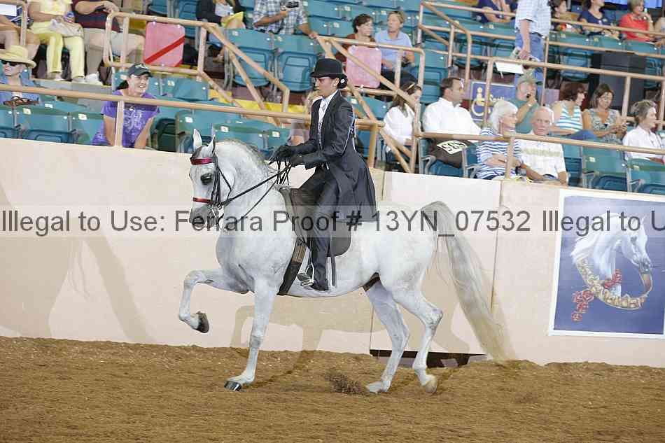 Proof 13yn_07532