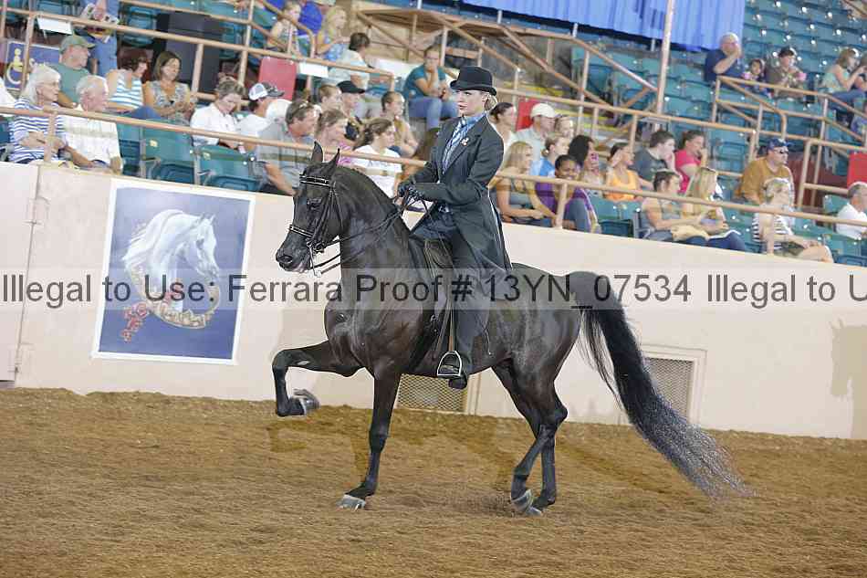 Proof 13yn_07534