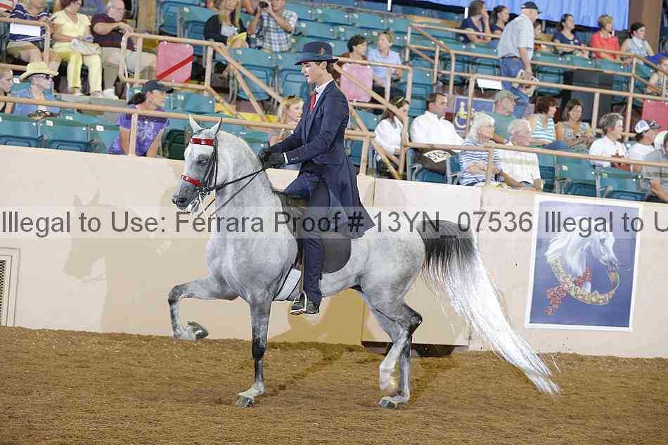 Proof 13yn_07536